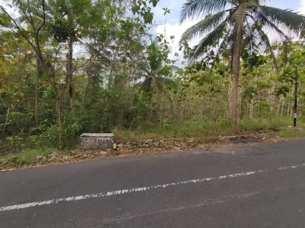 Tanah Dijual Luas 1898 Meter Persegi di Jalan Milir, Panjatan - Kulon Progo