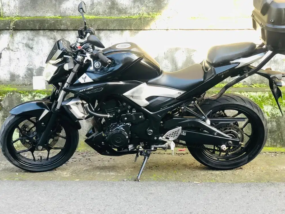 Yamaha MT 25 2016