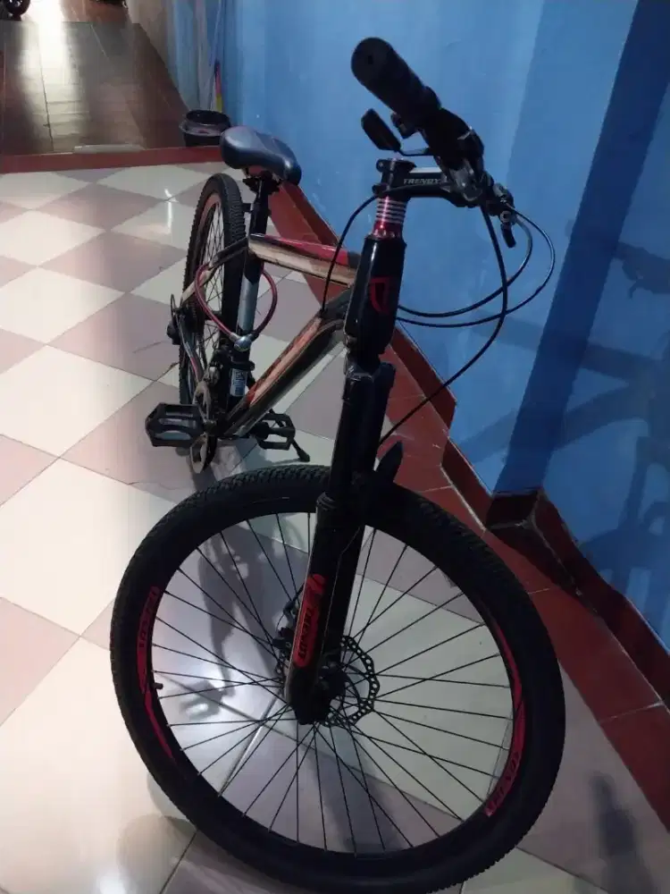 Sepeda Gunung Trendy Uk 26