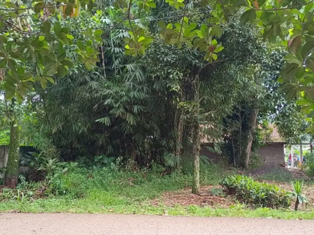 Dijual tanah di Jl Jampang Kalisuren Bogor