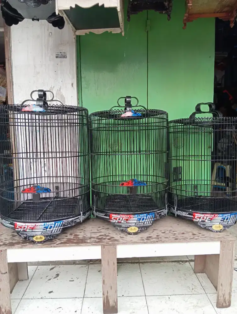 Sangkar murai merek AsP