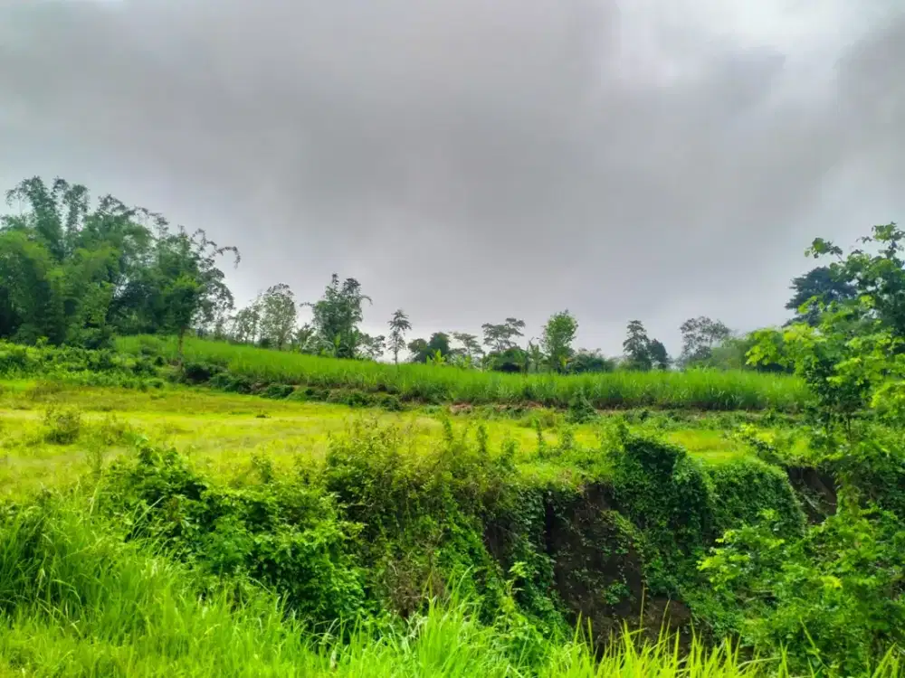 Tanah Kavling Murah Area Sukun