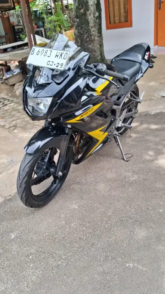 Kawasaki Ninja RR 2013