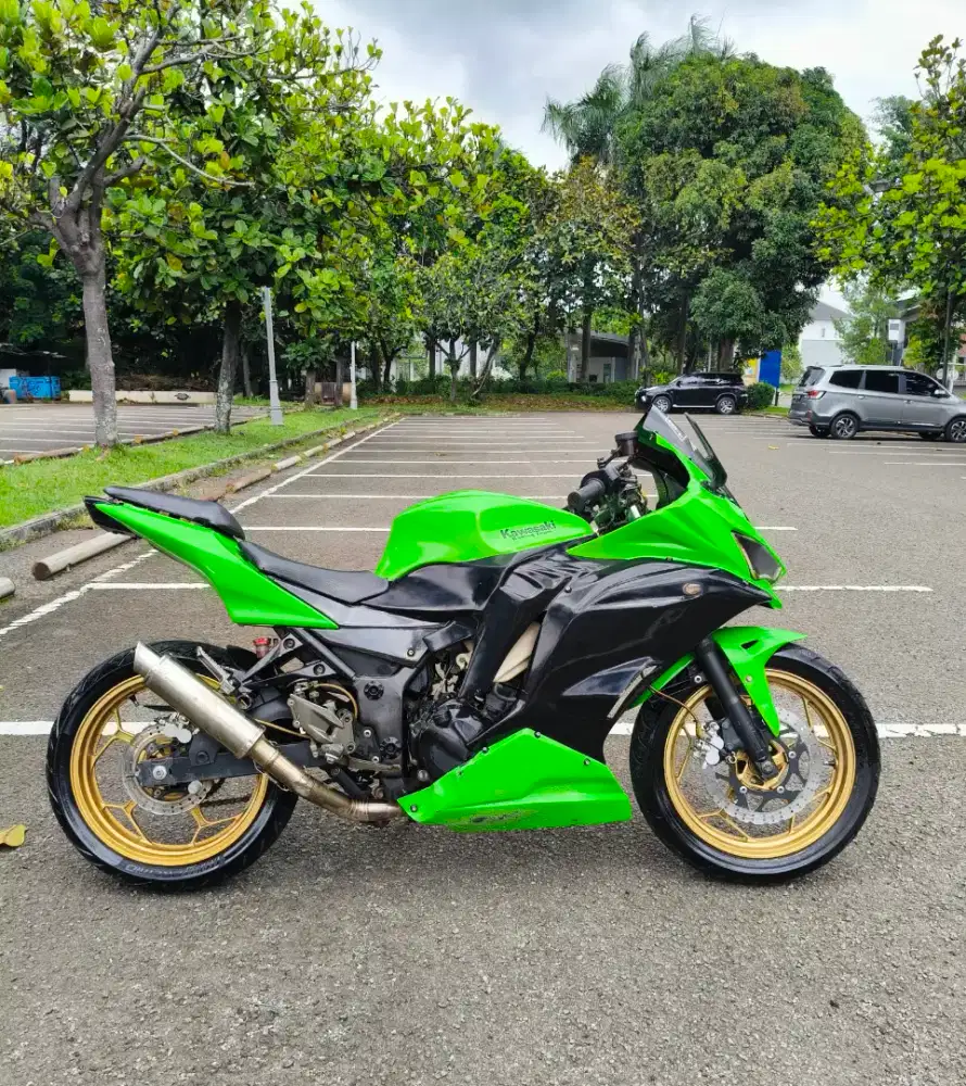 Ninja 250 2cylinder karbu 2010