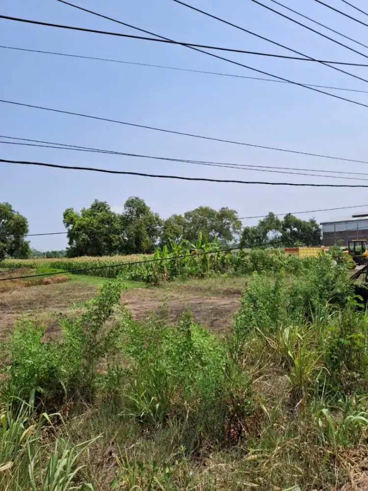 DIJUAL TANAH INDUSTRI DI MOJOSARI MOJOKERTO LOKASI STRATEGIS