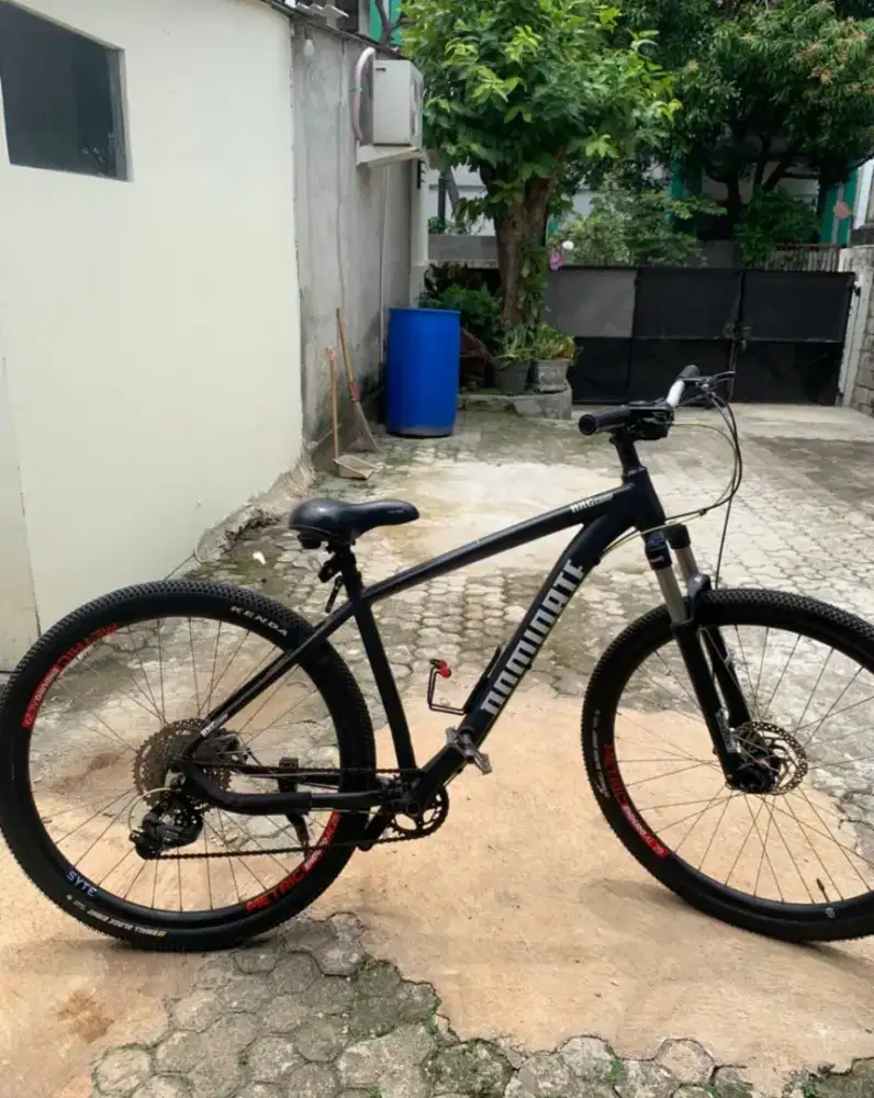 Sepeda Gunung DOMINATE 29er