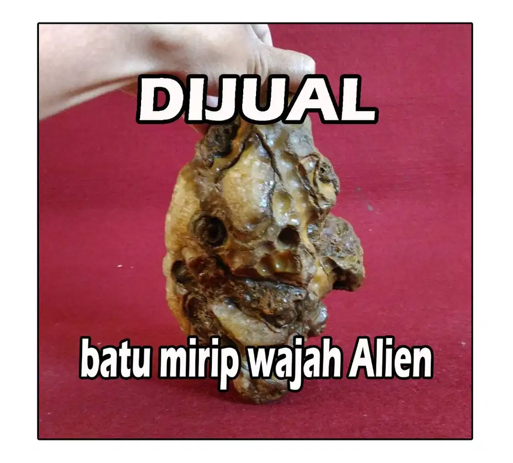 Batu mirip dgn wajah alien