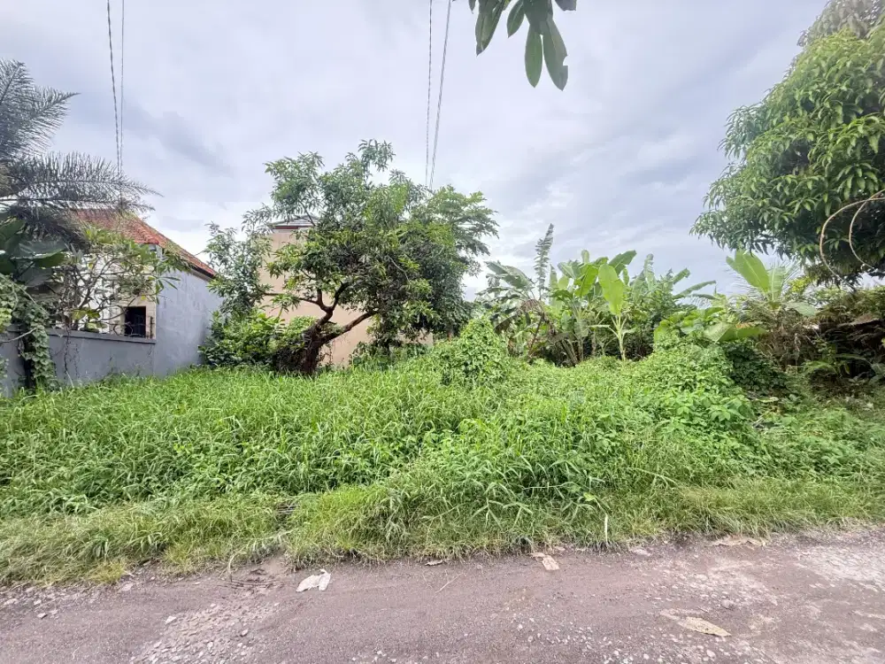 TANAH 2 ARE MUNGGU DEKAT TUMBAK BAYUH CANGGU AREA VILLA