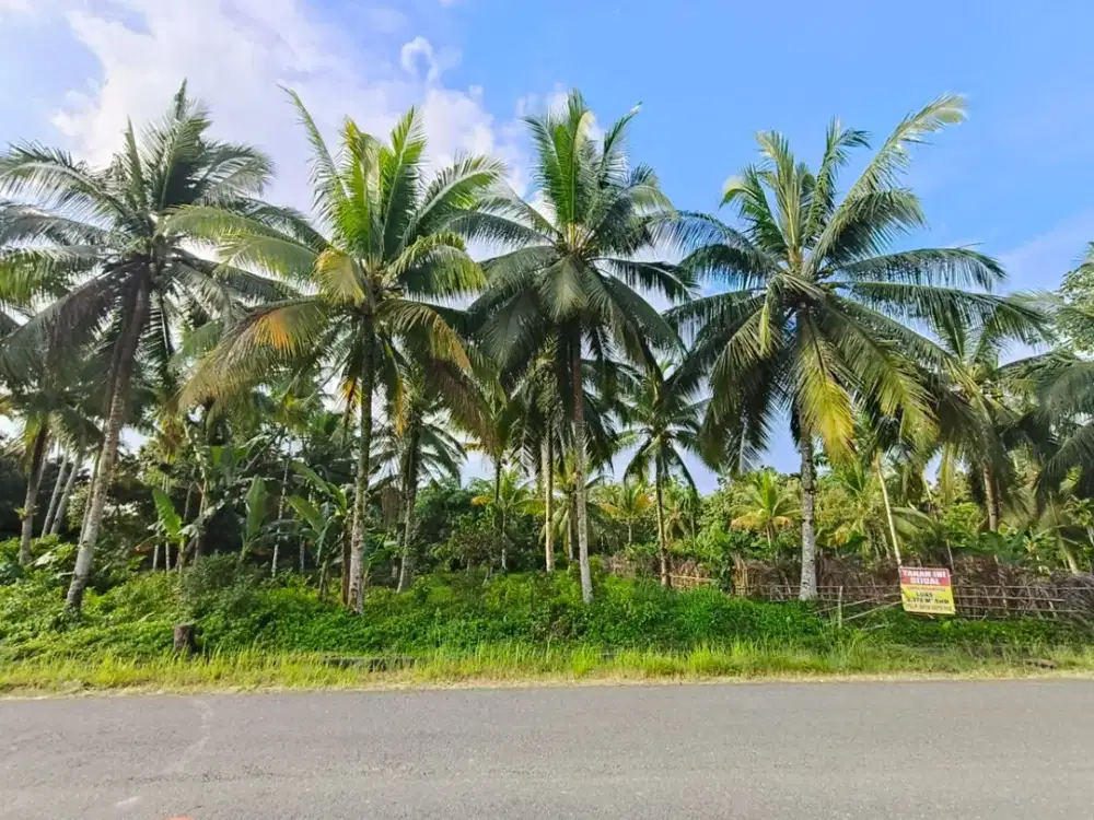 Dijual Tanah di Penajam Peser Utara di Pinggir Jalan Besar Lokasi strategis Cocok Untuk Investasi