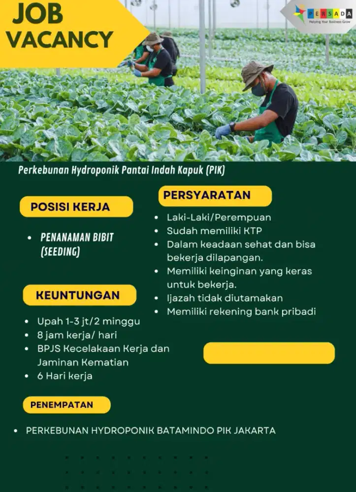Tukang Kebun Penanaman Bibit
