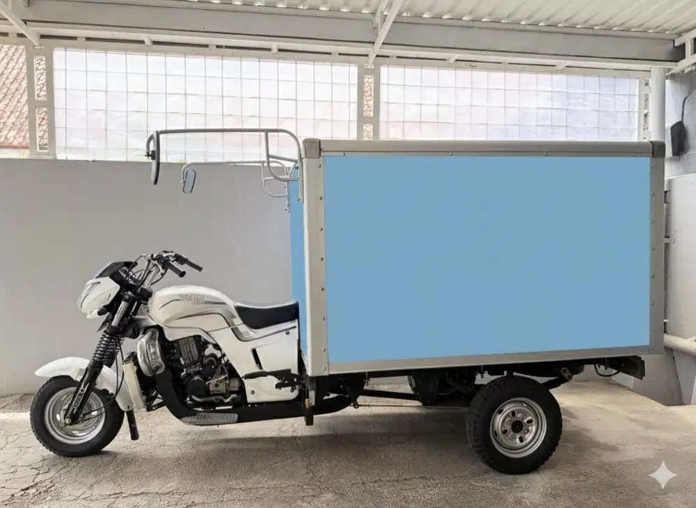 Viar V 20 RL M/T 2023