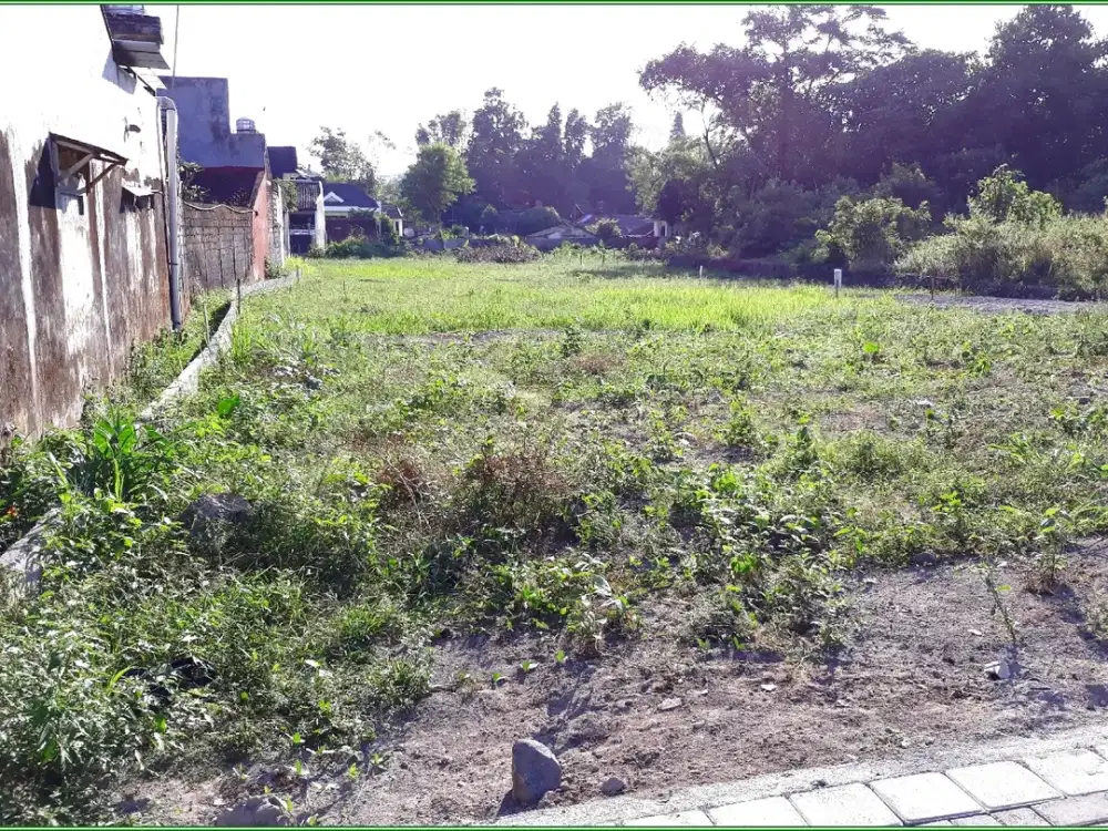 Tanah di Banteng Sleman Dekat Kampus UGM Untuk Hunian