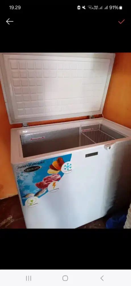 Frozen frigigate 200 Lt