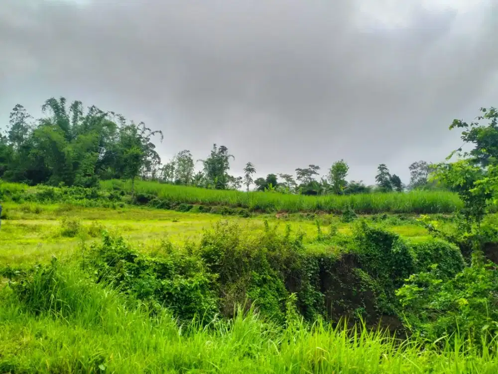 Tanah Kavling Murah lokasi Wagir