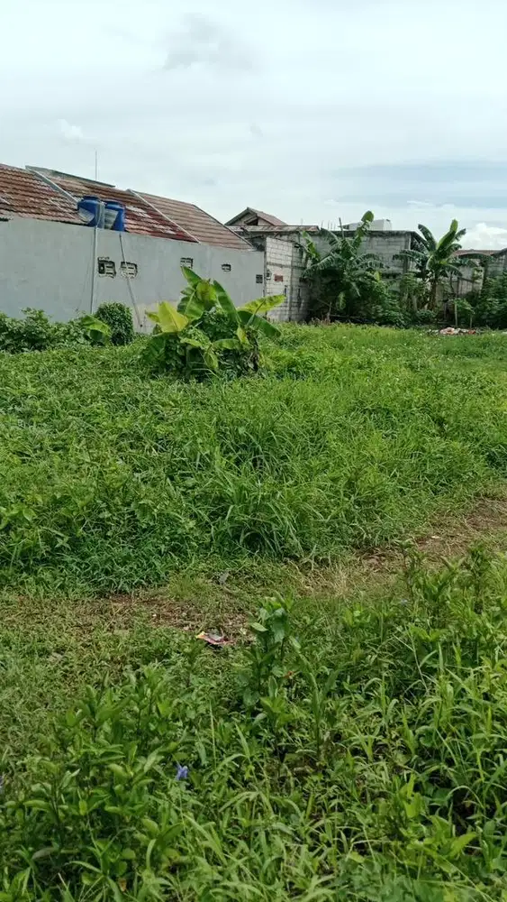 TANAH DIJUAL CEPAT NEGO SAMPAI JADI