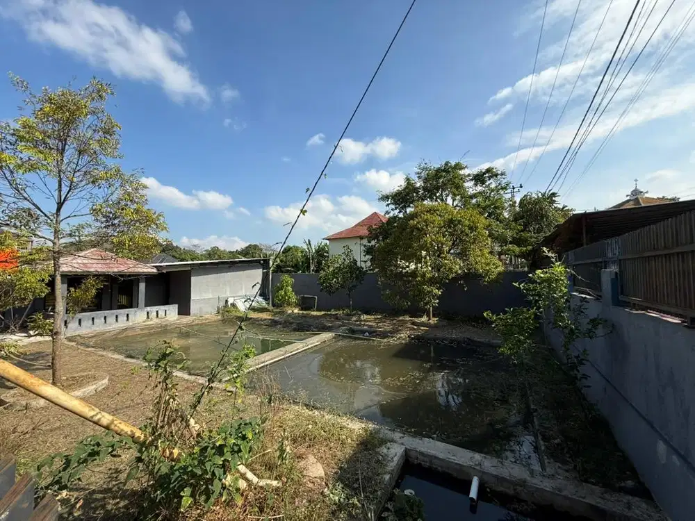 Dijual Tanah Kolam Tanpa Perantara