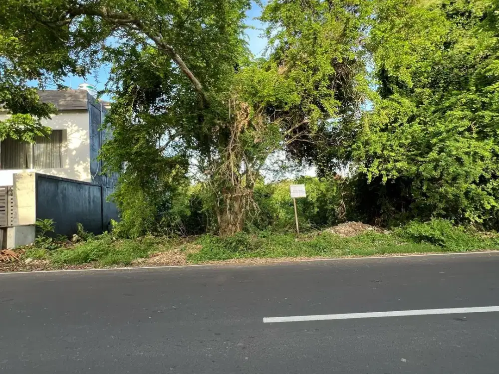 Tanah Posisi di Jalan Utama Area Nusa Dua