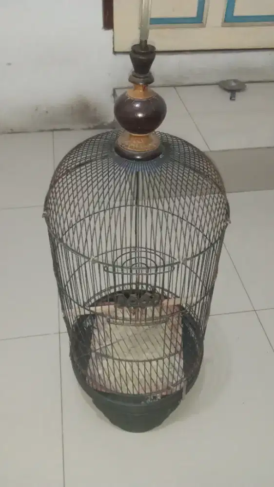 Sangkar Burung Love Bird Bekas