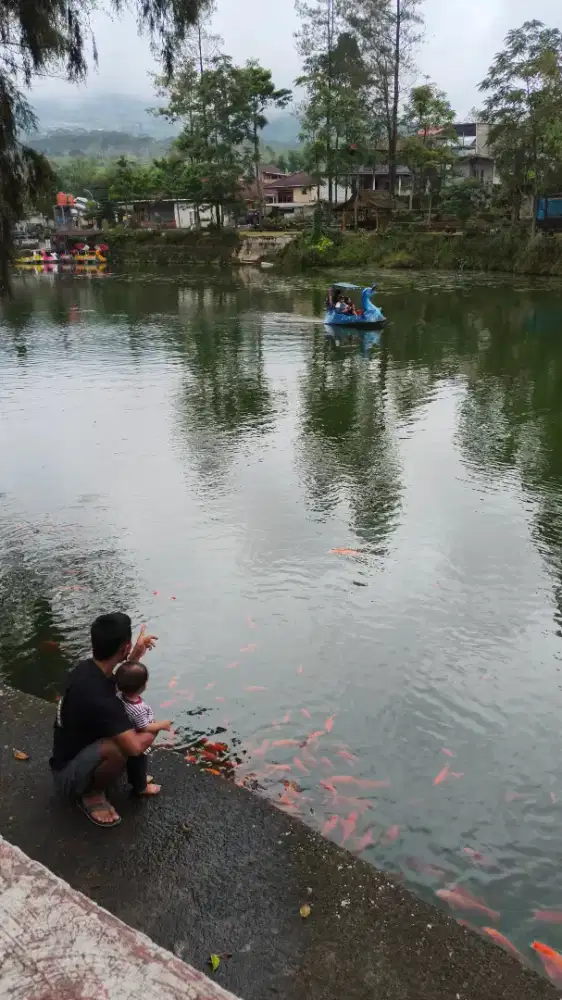 Art . Momong dan baby sister