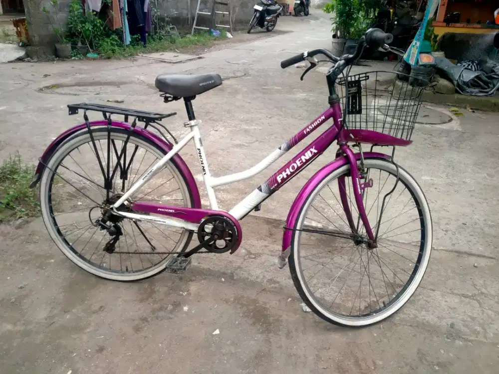 sepeda keranjang phoenix