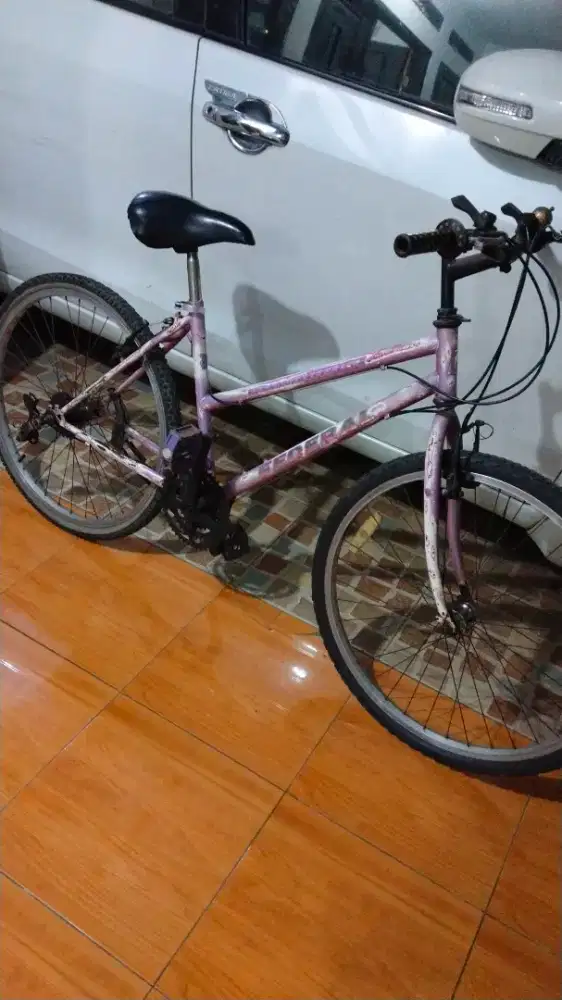 Federal Lady origional sn tembus