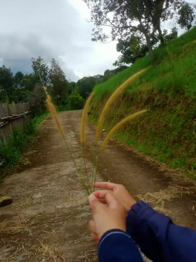 Jasa Antar dan jemput