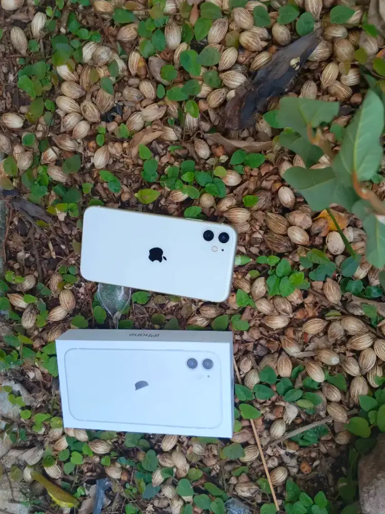 Iphone 11 128gb beda barang baru