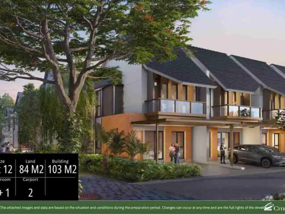 cedar 6 the forestin