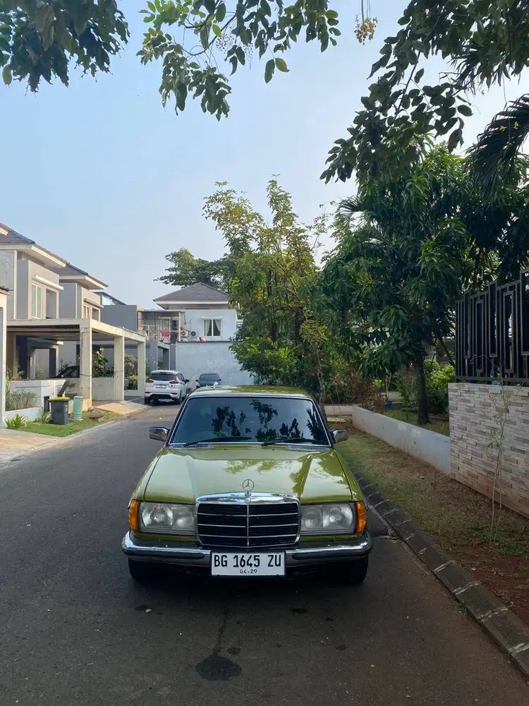 Mercedes Benz Tiger 280E 1977 Hijau Mercy Bekas 1976 1978 Jual BU