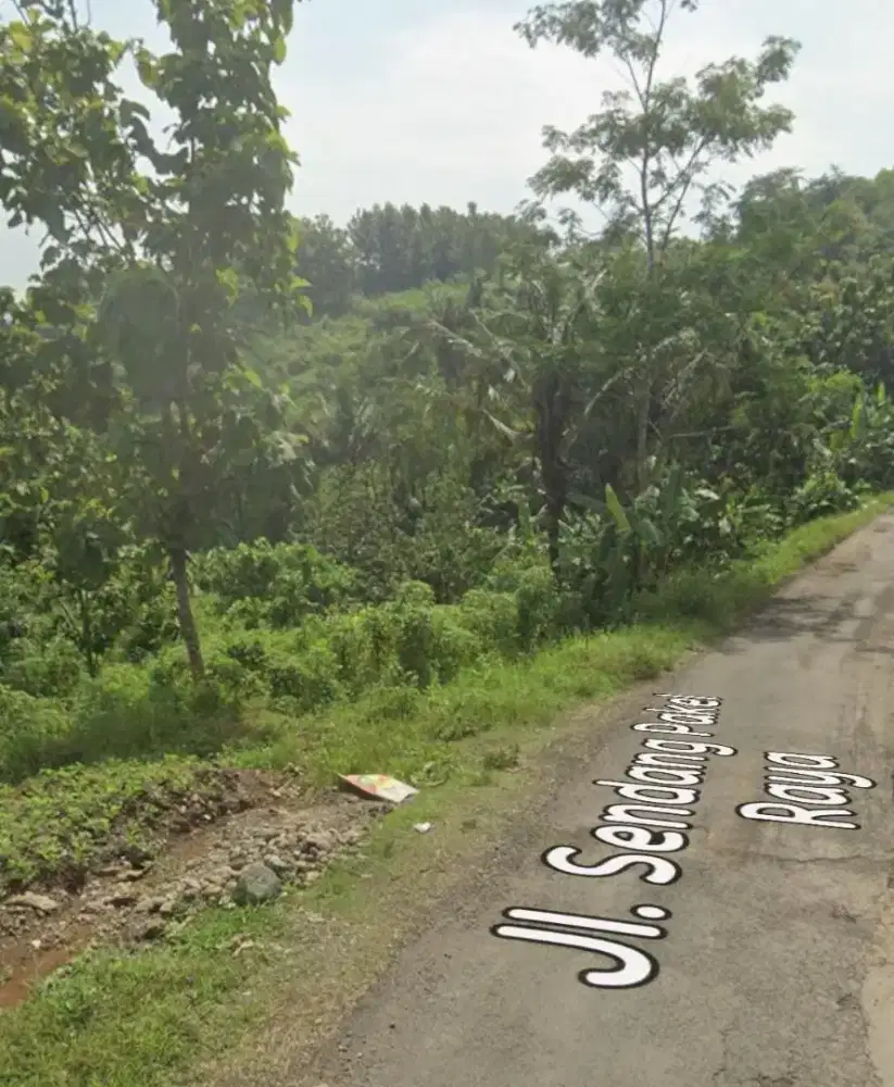 Dijual Tanah 8170m² Jabungan Semarang, Hadap Utara, SHM Harga 700Rb/m²