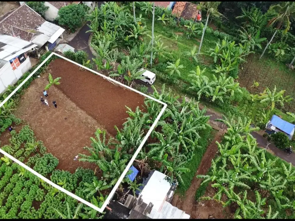 Tanah di Dataran Tinggi Padalarang Bandung Barat Dijual Murah