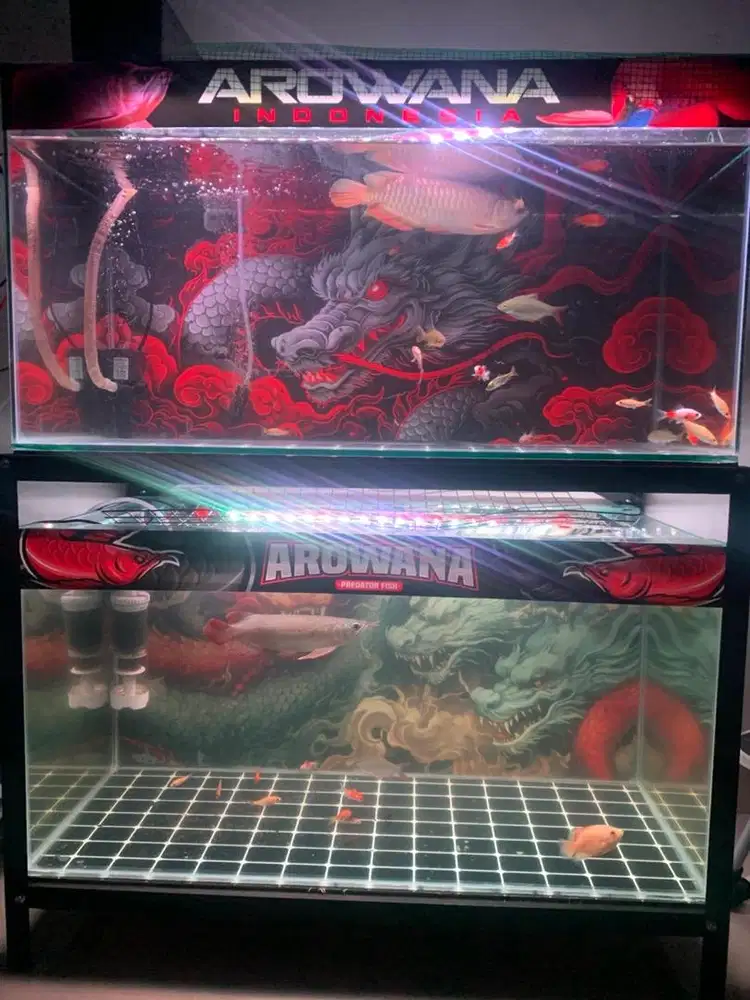 2 Aquarium 80cm dan rak besi