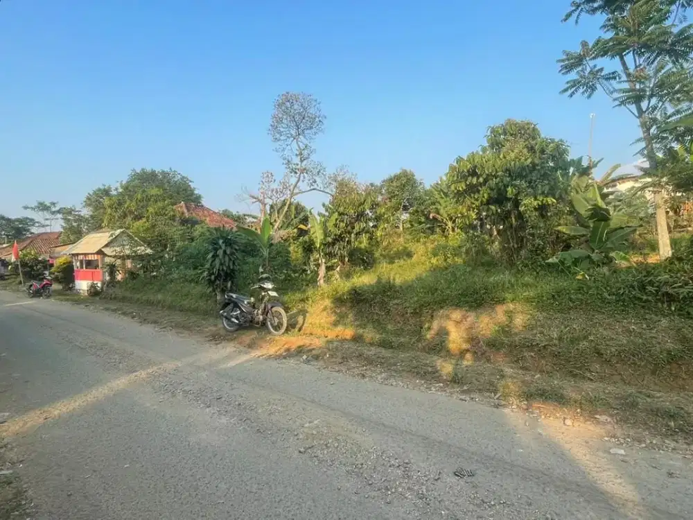 Dijual Murah Tanah Datar Pinggir Jalan di Bojong Purwakarta