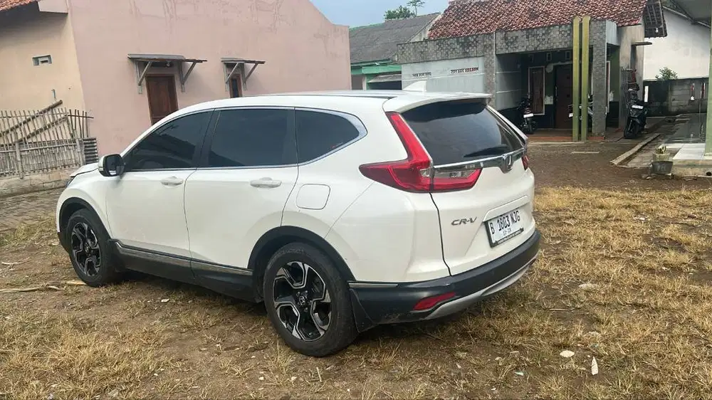 Jual Segera bisa survay