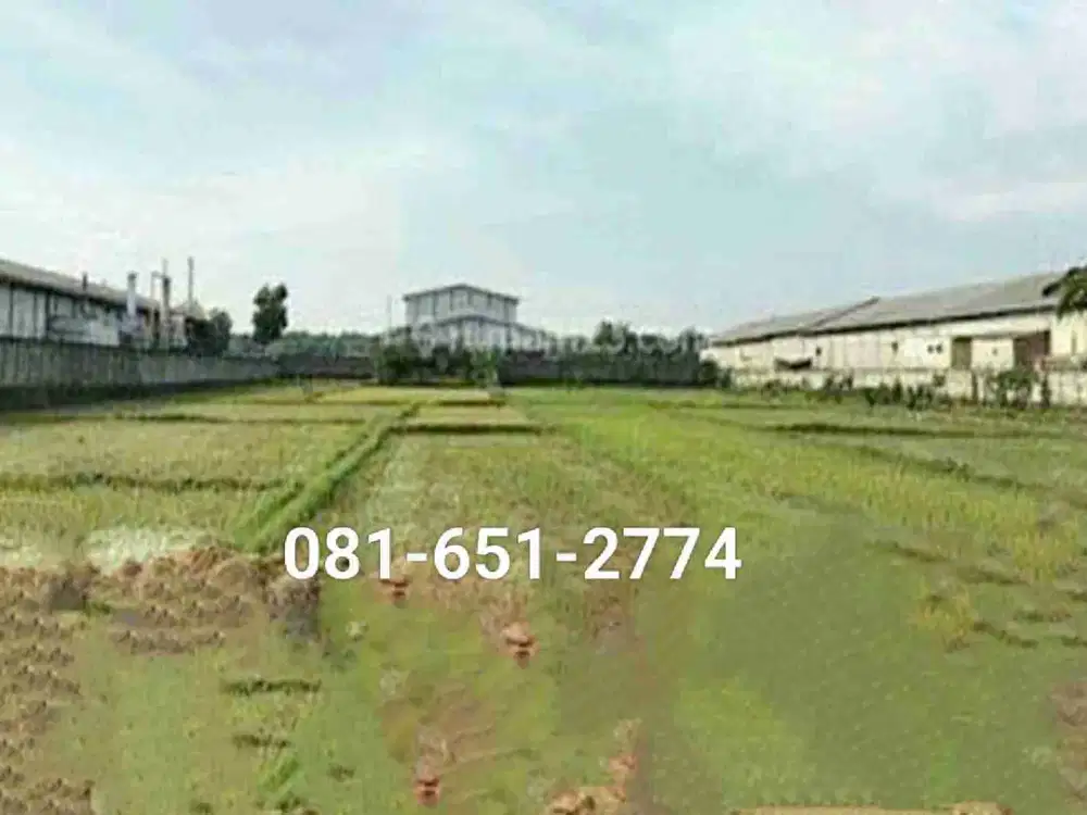 Tanah Raya Wringinanon Gresik