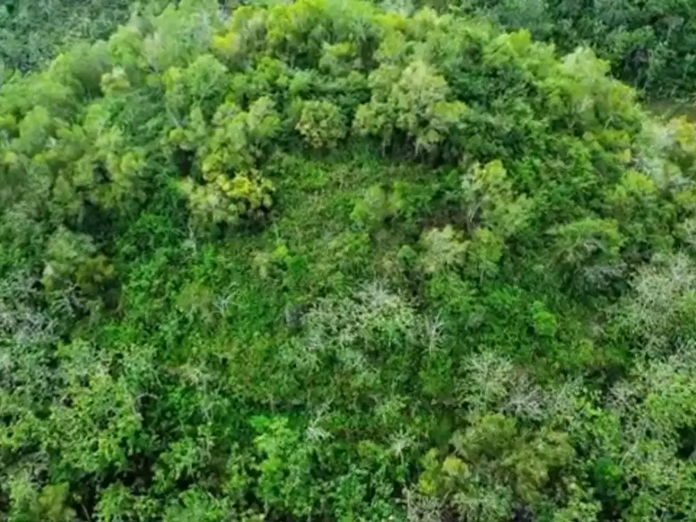 Murah mriah Tanah Bukit