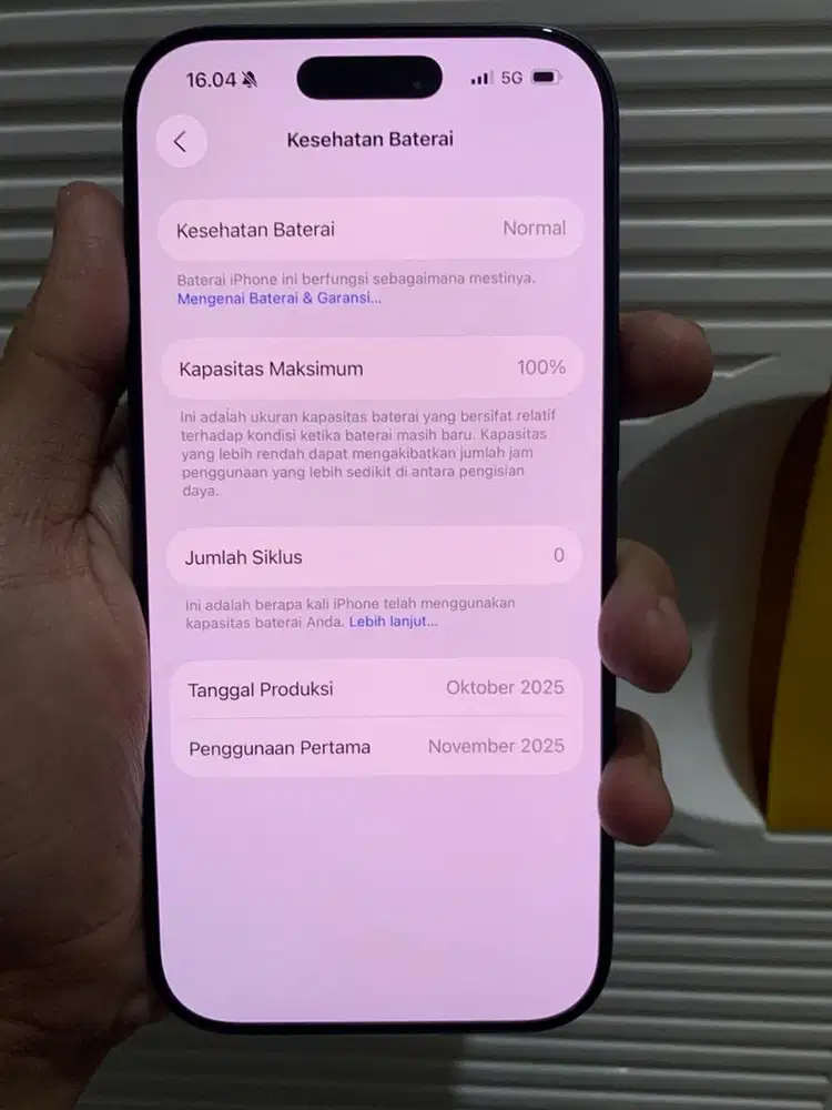 17 pro 256gb ibox (3 hari)