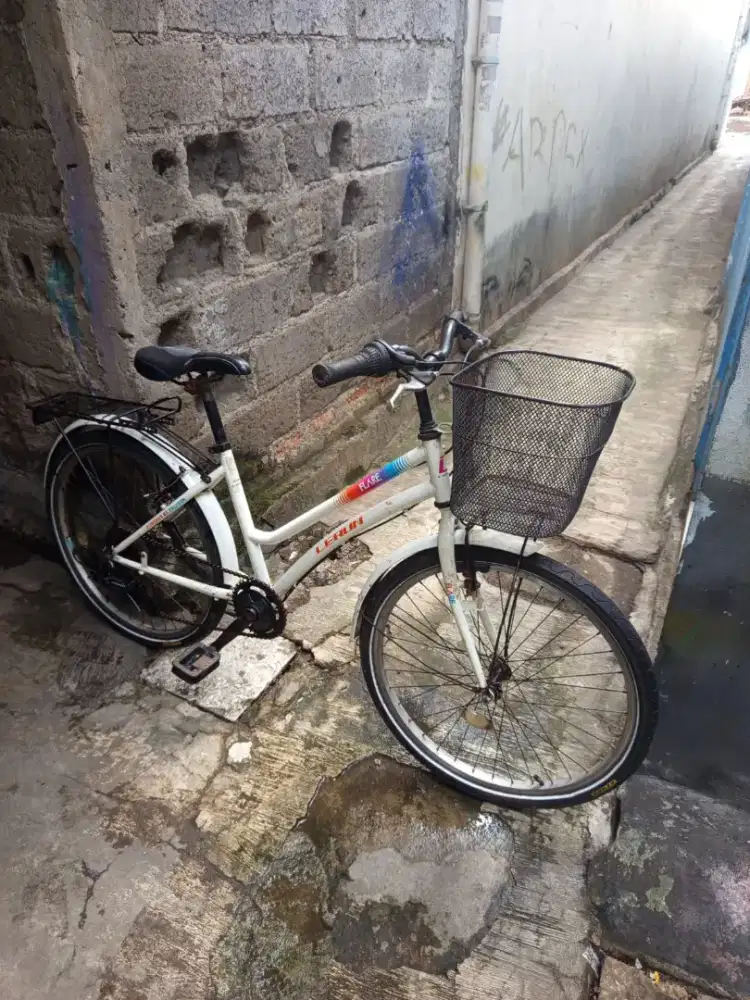 City bike Polygon Lerun Flare 24 inch