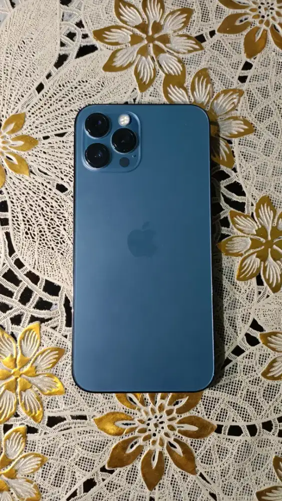 iPhone 12 Promax 128 GB inter all provider