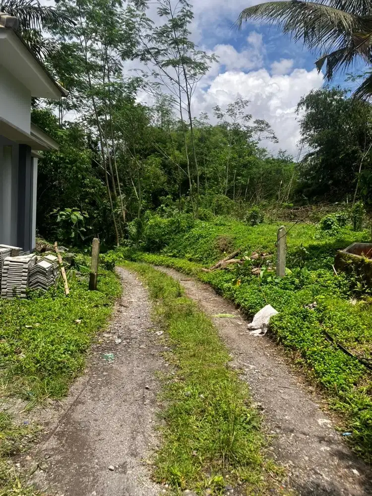 Tanah pekarangan  SHM