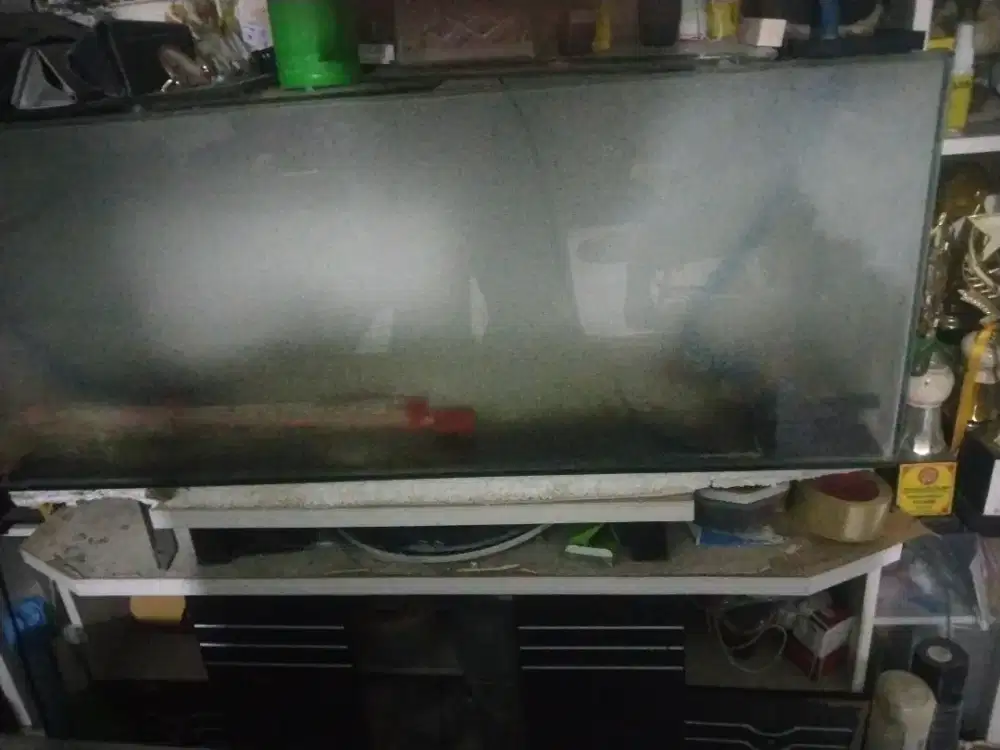 akuarium 100 x 50 cm bonus filter alir