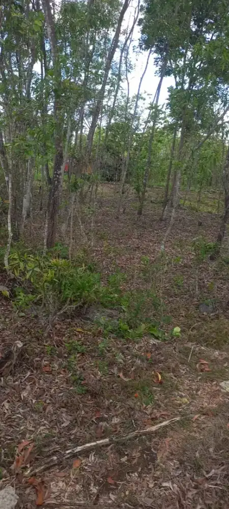 Jual tanah di Ngawen Gk