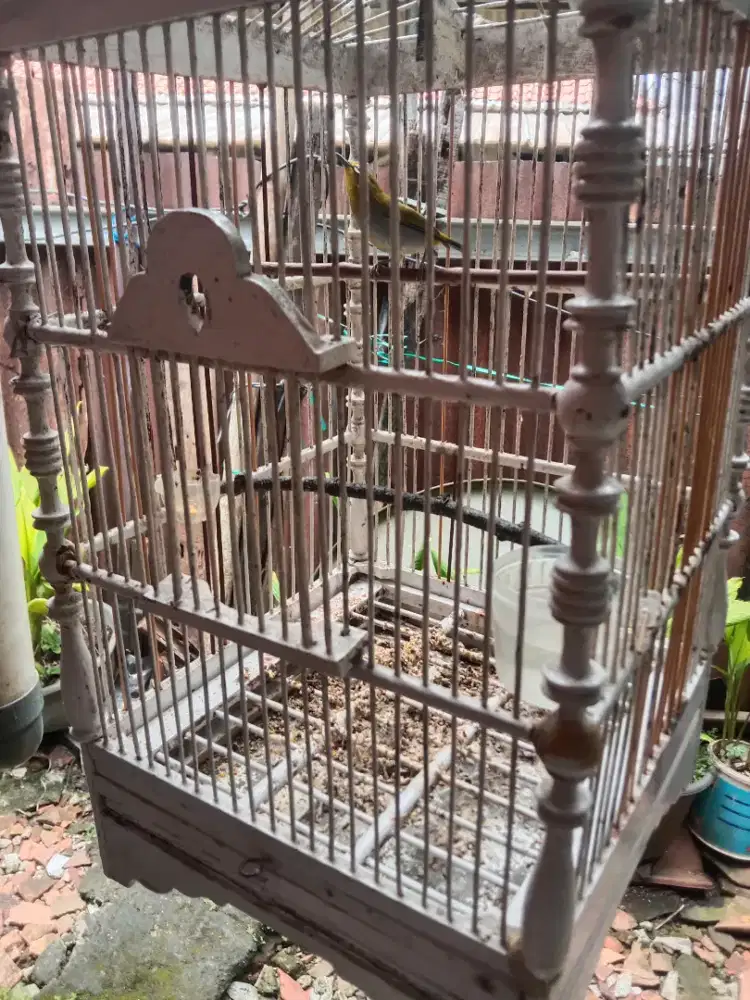 Burung buktomi jabar