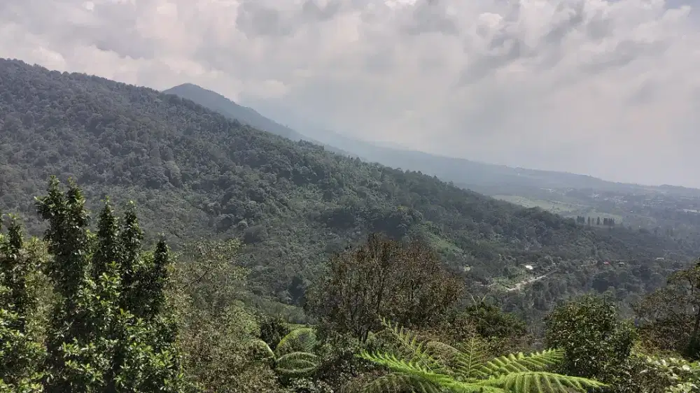 Tukang Goreng Fried Chicken