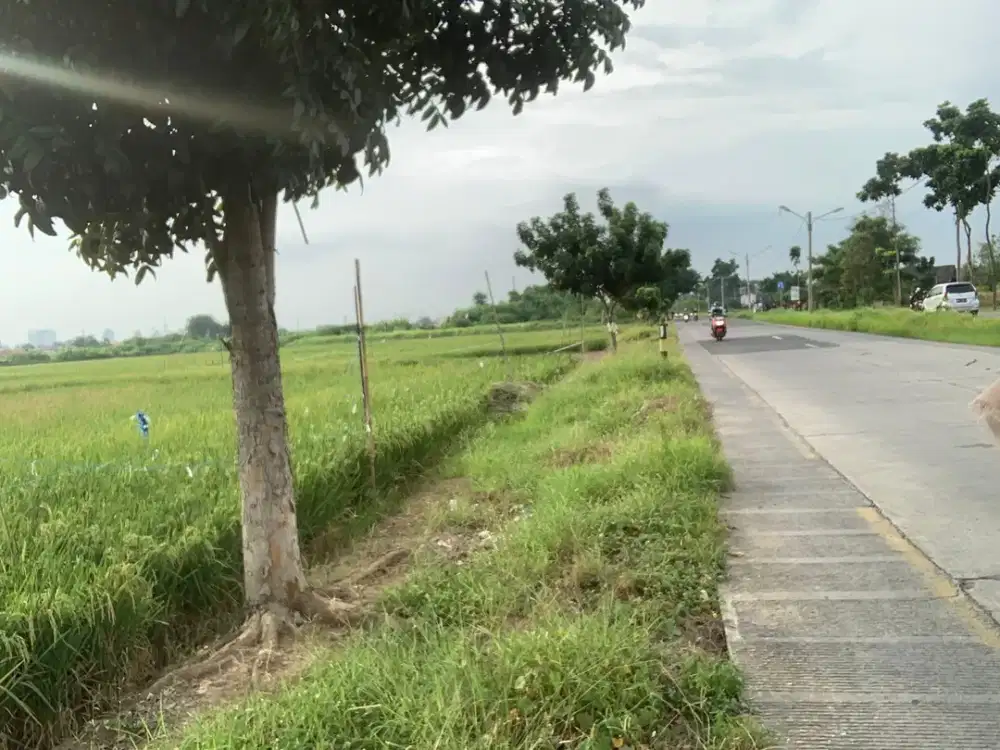 LANGKA ‼️ DIJUAL MURAH TANAH STRATEGIS MAINROAD KARAWANG JABAR