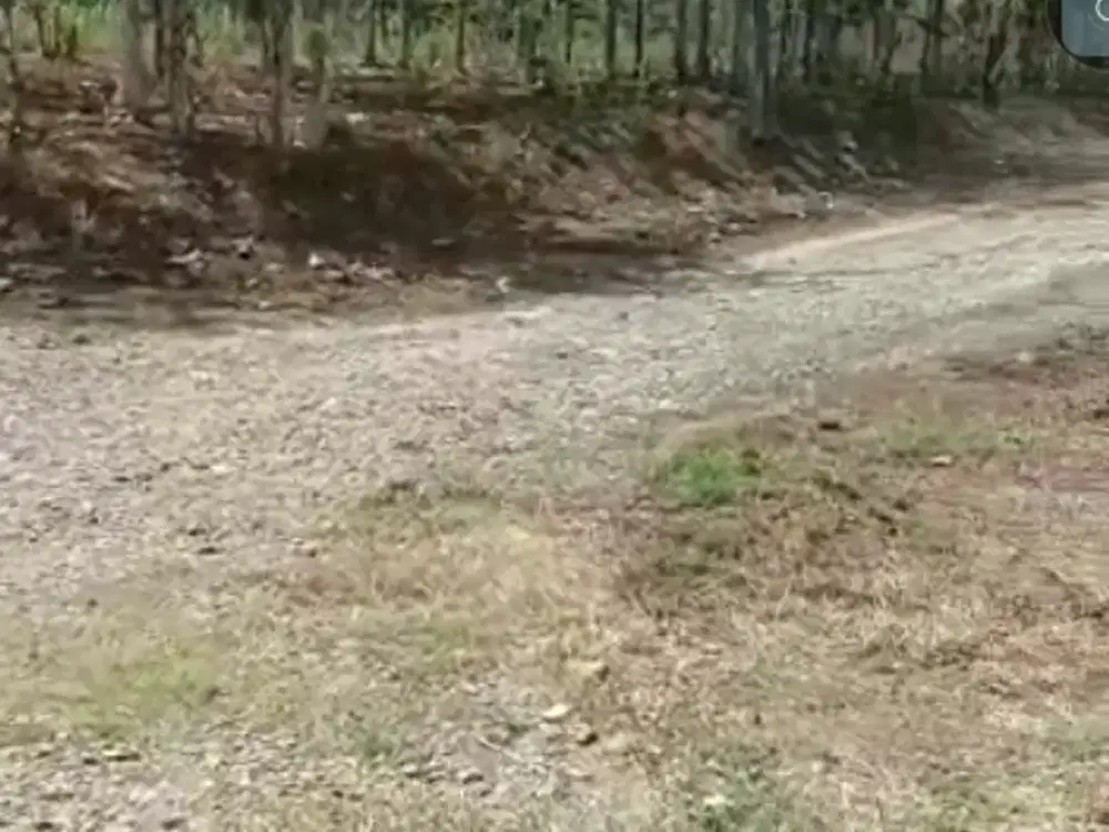 Dijual  Tanah  Mainroad Kertajati  Majalengka  Jawa Barat