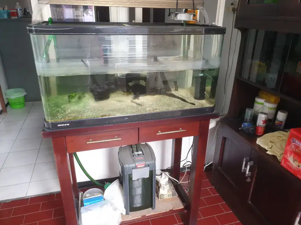 Aquarium Nisso Generasi