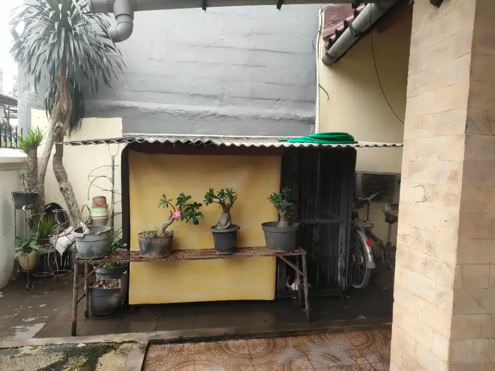 Kandang untuk dogi - dogi