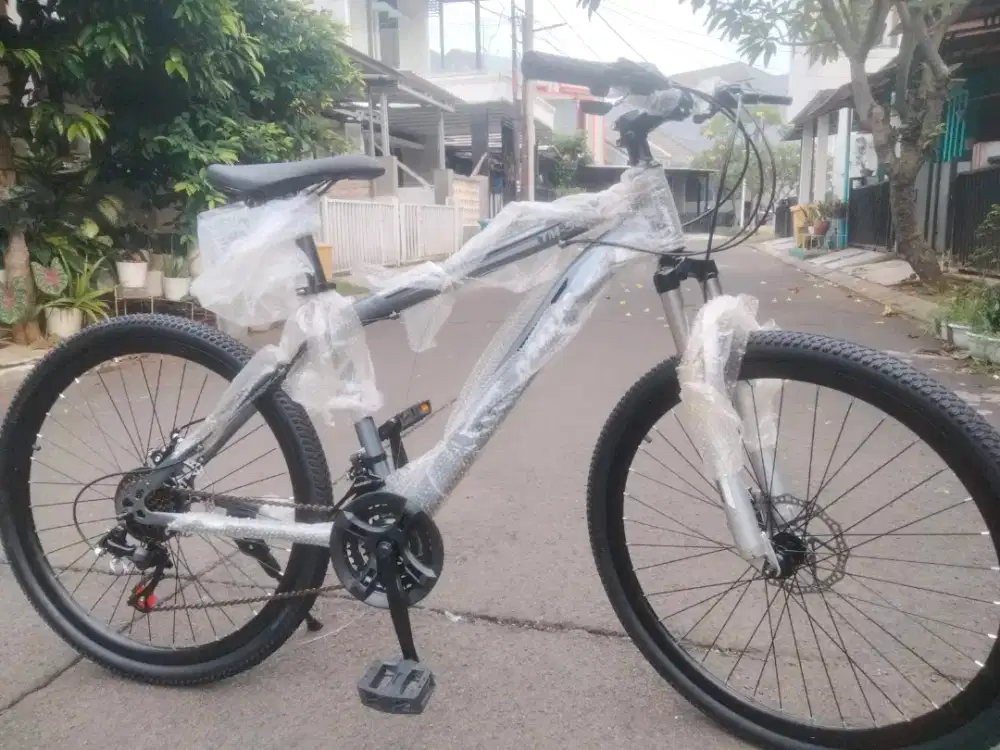 Sepeda gunung 1 jutaan