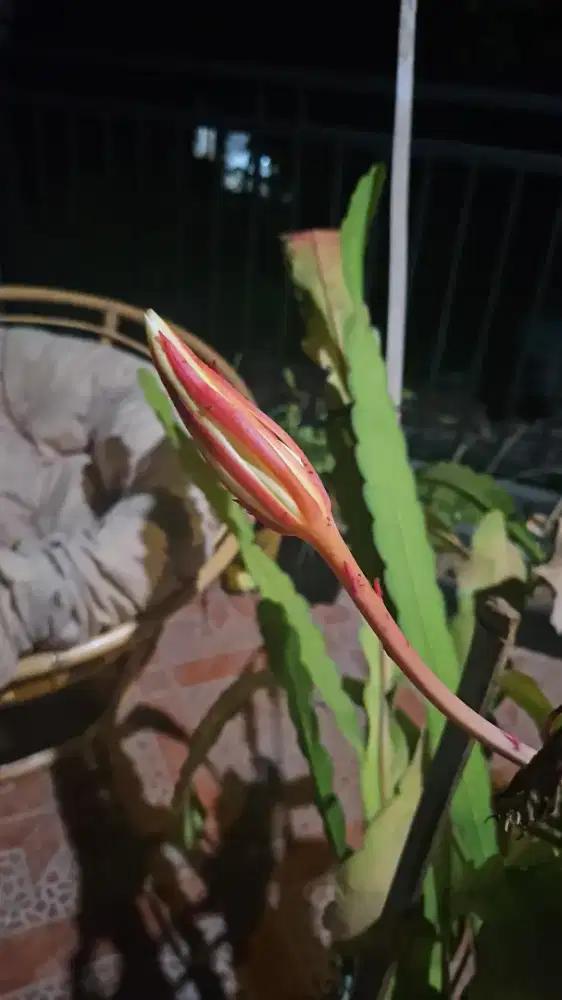 Loker ART / PRT Pembantu PP Pulang Pergi di Kota Wisata, Cibubur